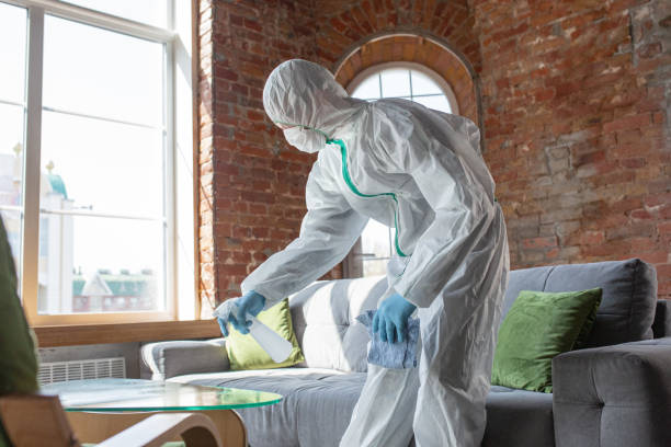 Best Emergency Mold Remediation  in Ruidoso Downs, NM